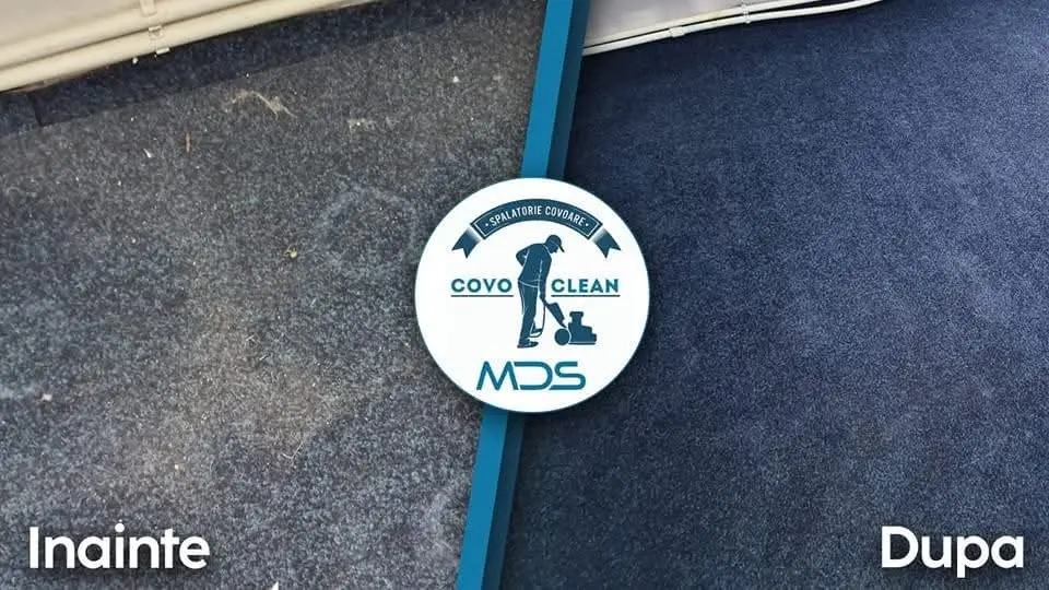 Comparație înainte și după igienizare covor